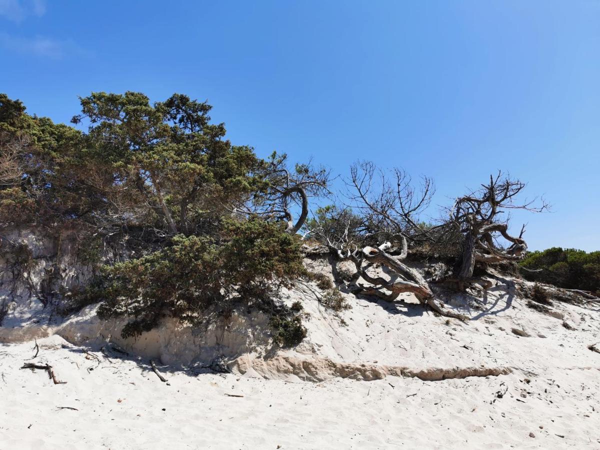 Alghermanzoni Alghero Bagian luar foto