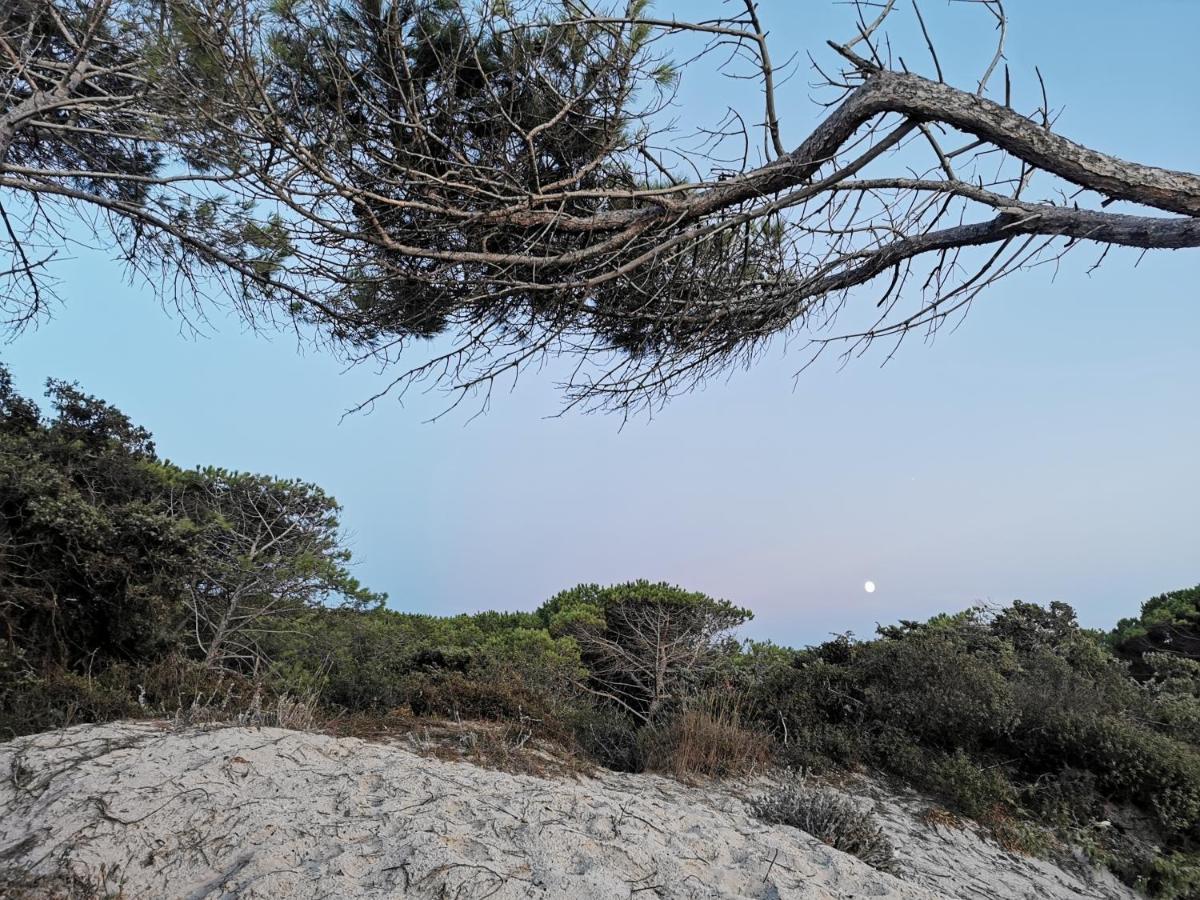 Alghermanzoni Alghero Bagian luar foto