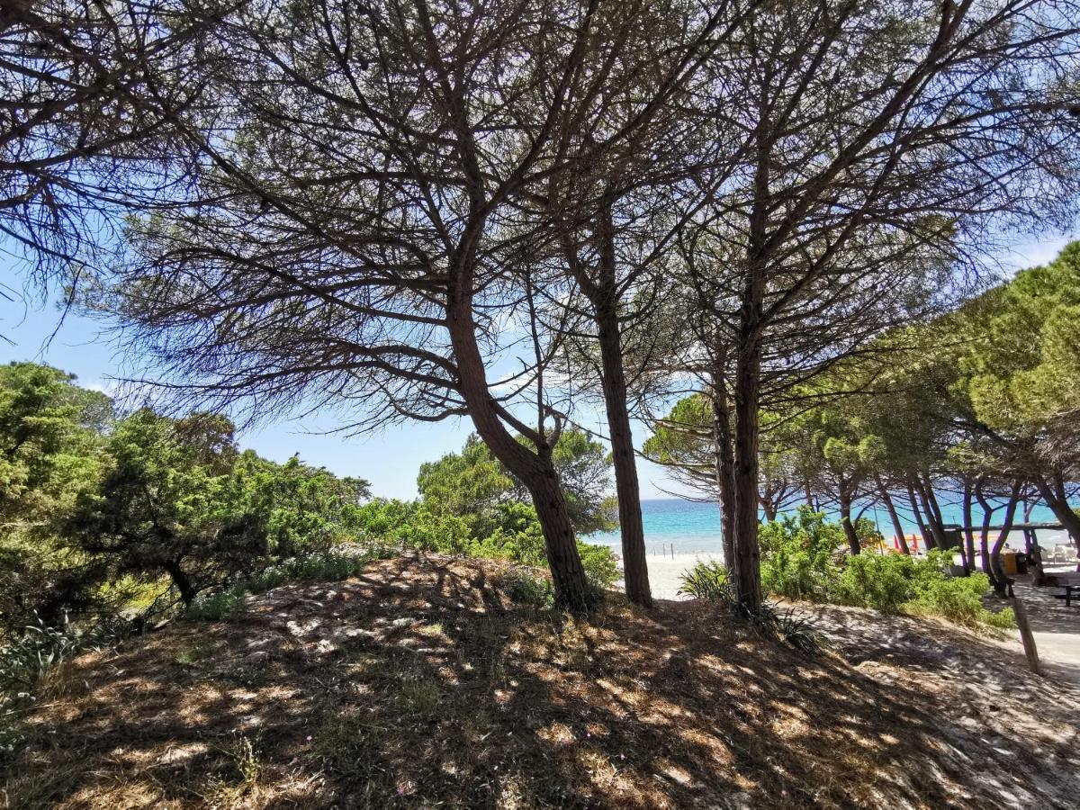 Alghermanzoni Alghero Bagian luar foto